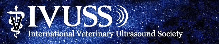 Ivuss Logo