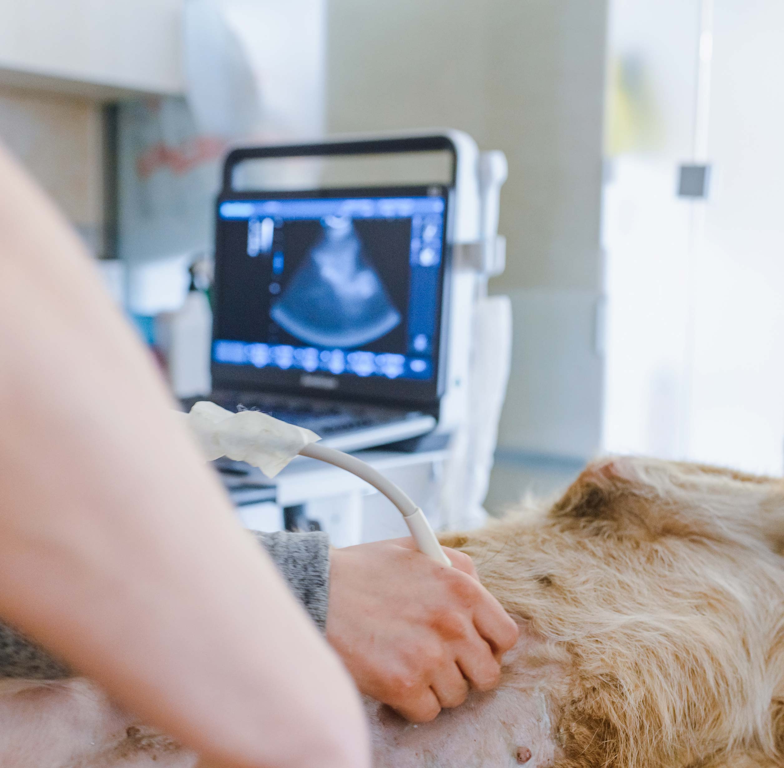 Simple,-Responsive-Process