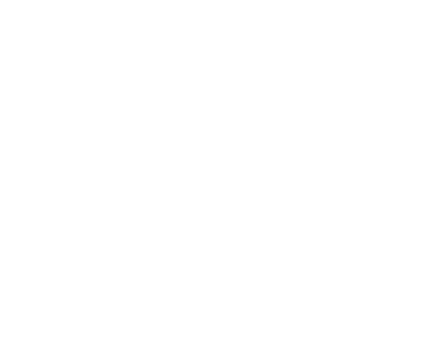 Superior Veterinary Imaging logo