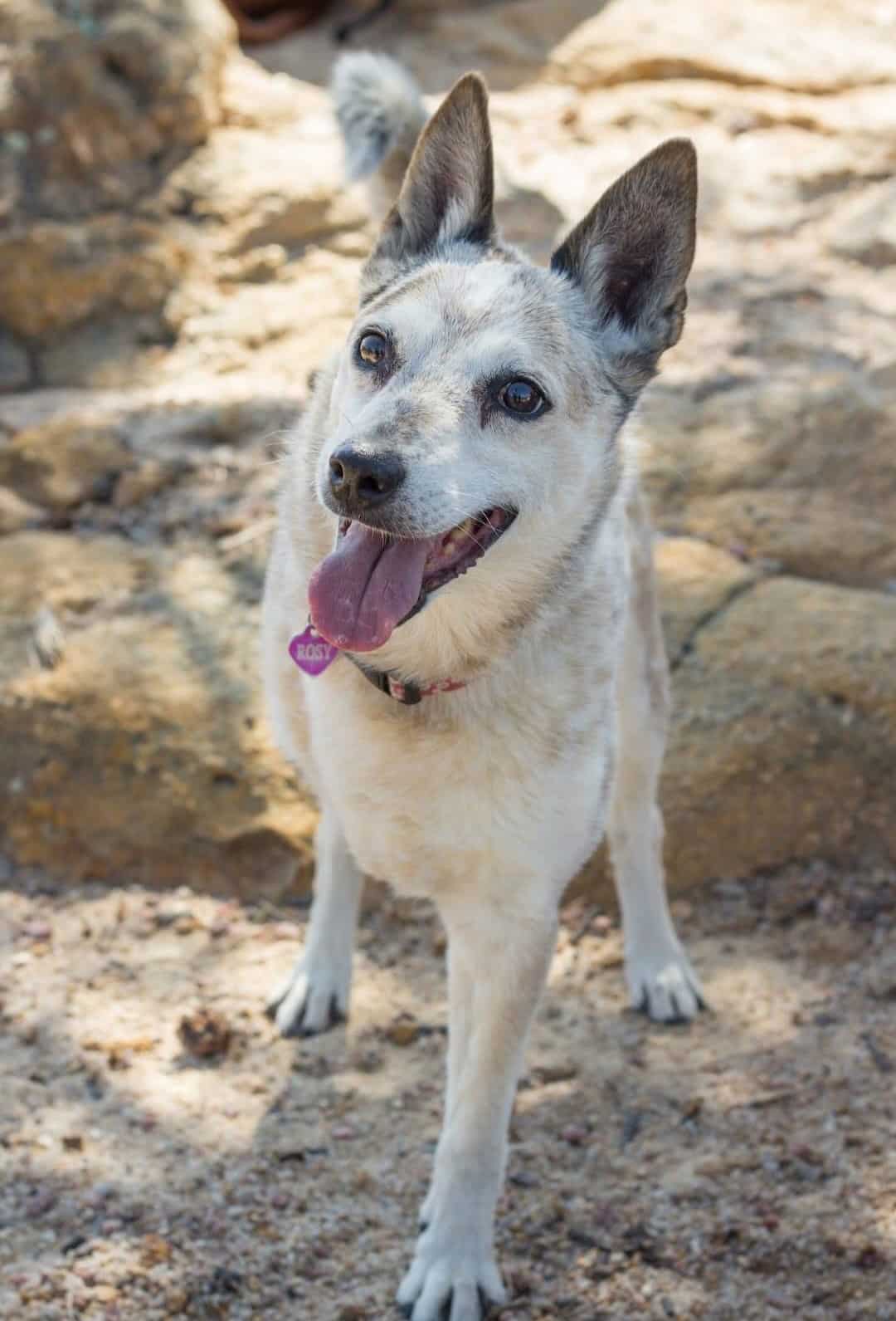 Support That Feels Like Part of Your Team