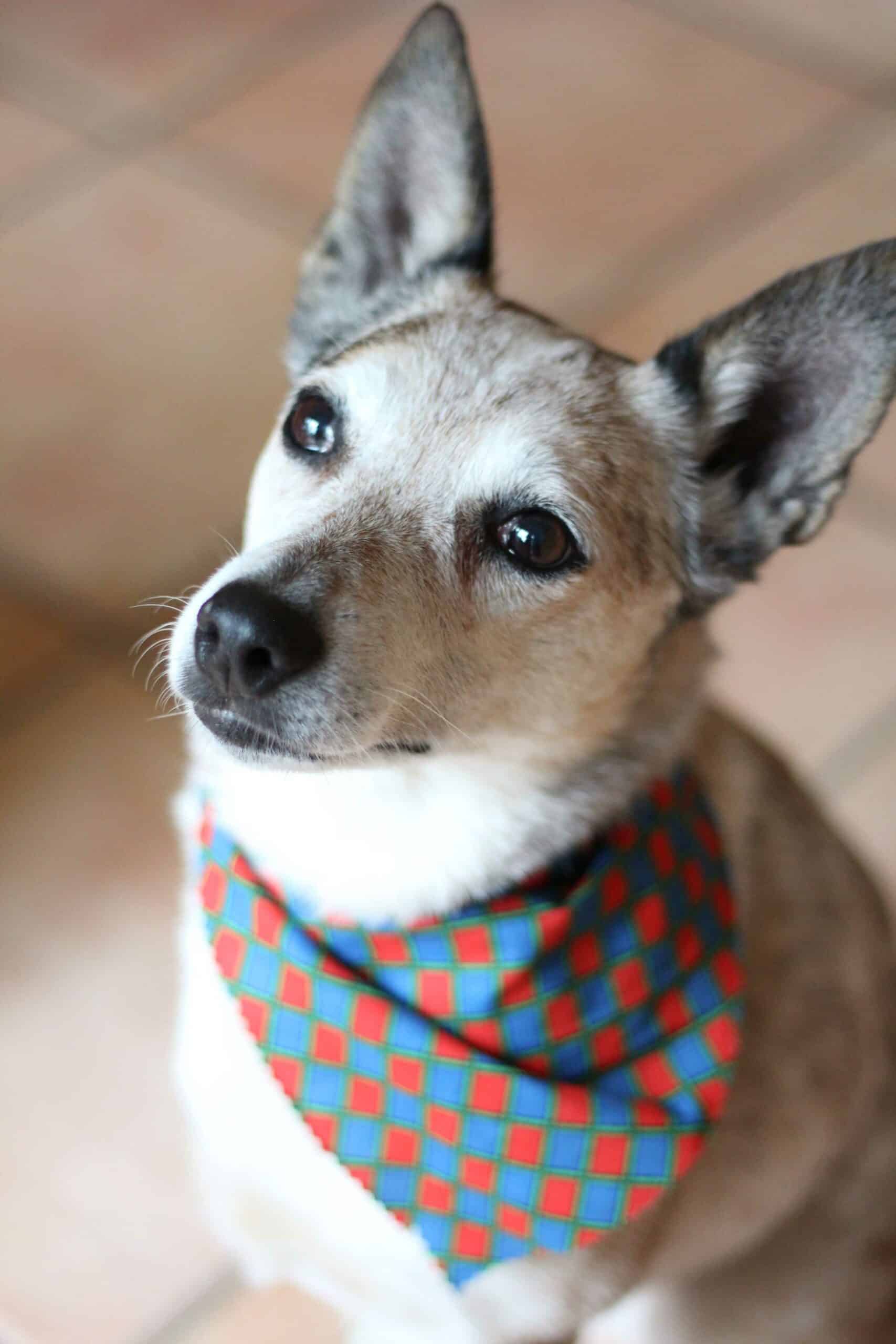 What to Expect from Our Cervical Ultrasound Service