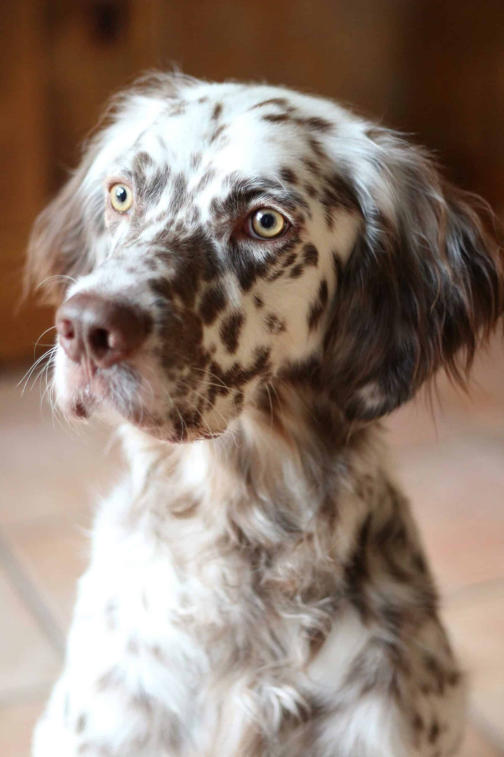 What to Expect from Our Mobile Imaging Process